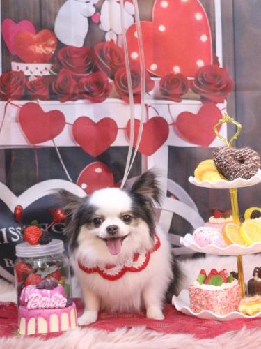 20250227リアンくん